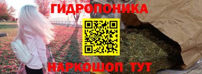 прущие крисы Кингисепп