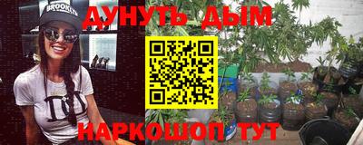 прущие крисы Кингисепп