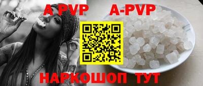 прущие крисы Кингисепп