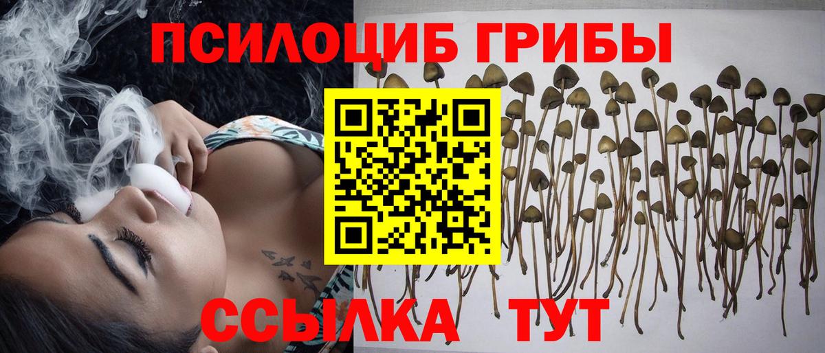 Галлюциногенные грибы ЛСД  Галлюциногенные грибы мухоморы  Карталы  Вход с VPN 